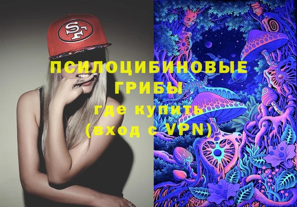 твердый Усинск