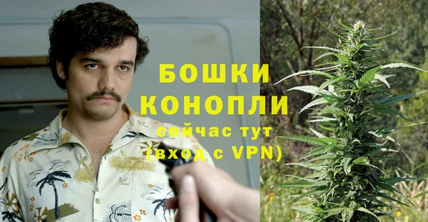 героин Лагань