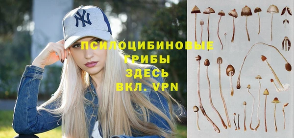 2c-b Кулебаки