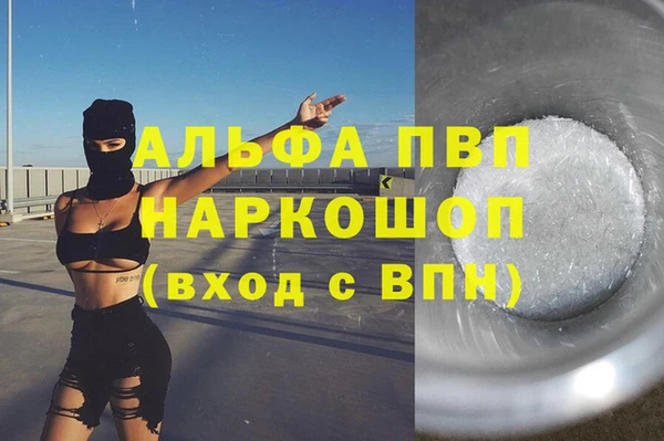 бошки Ладушкин