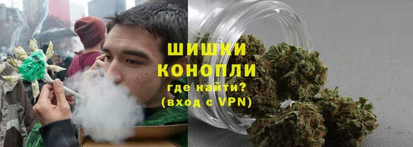 бошки Ладушкин